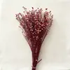 Fabricante Yongsheng Grãos de Acácia Absorventes de Cor, Grãos da Fortuna, Sementes de Gergelim, Materiais para DIY, Tampa de Vidro, Materiais para Atacado