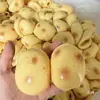 Xiaohongshu Piel de Bola Vacía de Papa Suave Modificación Propia Bola Hecha a Mano Cubierta Exterior Bloques de Construcción Piel de Bola Vacía Hecha a Mano con Tapón