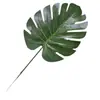 Hojas de simulación plantas verdes flores artificiales arreglo floral relleno hojas hoja de caparazón de tortuga pequeño relleno de flor de bonsái hierba al por mayor