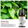 Exportación Transfronteriza Aceite Esencial Individual Fragancia Aromaterapia Masaje Aceite Esencial Sándalo Difusor Mayoreo Muestra de 10 ml