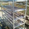 Bastidores para Bloques de Prueba para Cámaras de Curado, Varias Especificaciones, Bastidores de Muestras para Cámaras de Prueba del Fabricante