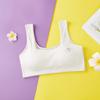 Roupa Íntima Estudantes do Sexo Feminino Meninas em Desenvolvimento Estudantes do Ensino Fundamental Sutiã de Algodão Puro com Alça Dupla Top Tubinho Anti-impacto para Estudantes do Ensino Médio