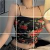 Camisola de malla con estampado de rosas vintage para mujer, corte entallado, corta, verano 5067, camisola de malla con rosas rojas