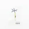 Álbum de Coleta de Espécimes de Plantas, Selado em Plástico DIY Artesanal Criativo Quatro Grades Trevo da Sorte de Quatro Folhas Álbum de Armazenamento de Espécimes, Outros