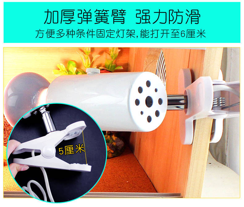详情页5.jpg