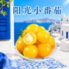 Tomates Cherry Sunshine de Shouguang, envío directo de una sola pieza a través de SF Express, compre verduras frescas por caja completa