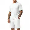 Conjunto Masculino Jacquard Xadrez Texturizado de Toalha Pesada, Solto, Simples e Moderno, Gola Redonda, Manga Curta, Atacado para Homens