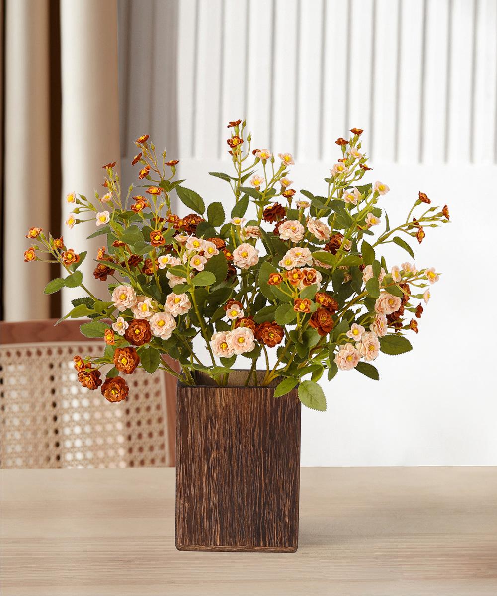 迷你小月季详情图