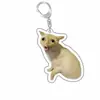 Expresión creativa de perro gatito llavero recuerdo rana acrílico foto perro colgante accesorios para mascotas