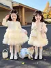 Vestido Estilo Little Chanel para Niña, Nuevo Modelo Otoño 2026, Vestido de Pastel de Moda para Primavera y Otoño Infantil, Vestido de Princesa para Bebé