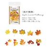 Paquete de Pegatinas para Mascotas Poesía de Azúcar Serie Salvaje en la Brisa de Otoño Hojas Material para DIY Pegatinas Decorativas 10 Hojas en 6 Diseños