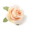 Cabezas de Flores de Rosa de Seda Simulada, Flores de Seda, Flores Artificiales, Materiales Creativos Hechos a Mano para Diademas de Boda, Coronas de Flores, Decoración de Sombreros