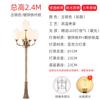 Luz de jardín de 3 m para el hogar, 220 V, impermeable, para exteriores, jardín, villa, poste alto, comunidad, parque, retro, LED, farola