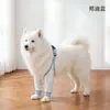 Roupas de Cachorro para Todas as Estações para Uso ao Ar Livre, Calças à Prova de Poeira de Quatro Patas, Calças Anti-Sujeira, Cobertura Total, Proteção contra Insetos, Impermeável, Vestuário para Pets de Cães Pequenos e Médios