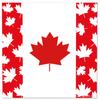 Mm292 Bandeira Canadense Dia Nacional Feriado Louça para 8 Pessoas Conjunto de 4 Peças Prato de Papel Guardanapo de Papel