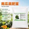 Fertilizante Especial para Calabaza Aumenta la Producción Alto Rendimiento Calabacita Base Orgánica Fertilizante de Cobertura Granular Fertilizante Promotor del Crecimiento