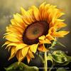 Pintura de diamantes 5D DIY diamante diente de león girasol sala de estar dormitorio pintura decorativa transfronteriza caliente fabricantes de comercio exterior directo