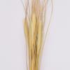 Ramo de flores de hierba seca de cristal, planta de Pennisetum, material para arreglos florales, mesa de sala de estar, adornos de flores eternas al por mayor