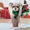 Ropa para Gatos, Bufandas para Mascotas de Otoño e Invierno, Collares Lindos, Accesorios para Gatos, Baberos, Gorros para Gatitos, Bufandas para Cuello de Perros, Navidad