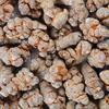 Yunnan Wenshan ginseng origem atacado sanqi pó barraca medicina herbal chinesa Tianqi pé seco sanqi cabeça
