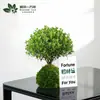 Gardenia Hidropónica Bola de Musgo en Maceta Rosa Miniatura Plantas de Oficina Bambú de la Suerte Árbol del Dinero de Escritorio Interior