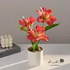 Lírio de Três Cabeças Pequeno Bonsai Decoração de Casa Ornaments de Mesa Interna Adereços de Fotografia Planta Verde Artificial Flores Artificiais Bonsai
