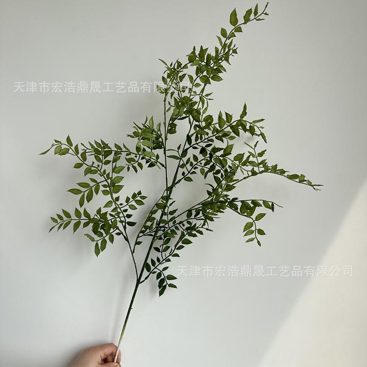 微信图片_2023040214504530_副本