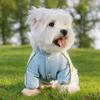 Nuevo Abrigo de Algodón Cálido de Cuatro Patas a Prueba de Tres para Perros Pequeños y Medianos, Ropa para Perros y Gatos Bichón Frisé
