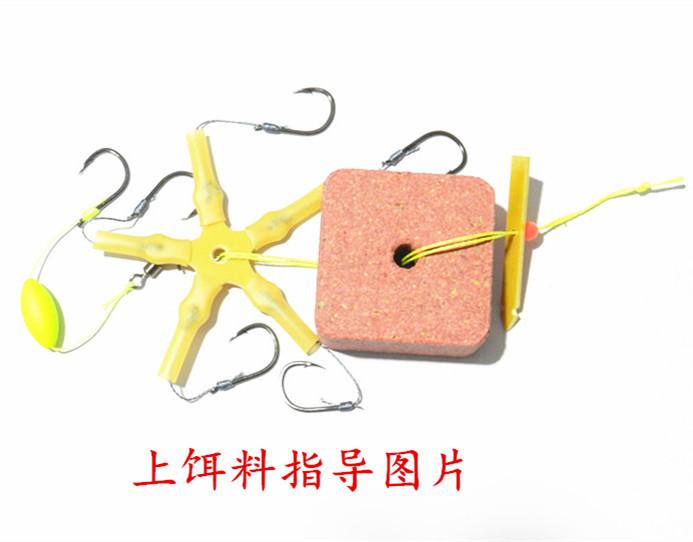 DSCN6466
