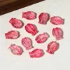 Cuentas de vidrio para peces con degradado bicolor y agujeros verticales, accesorios para joyería DIY para pulseras, collares y pendientes