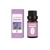 Difusor de aceite esencial de aromaterapia no ignífugo especial para hotel oficina planta de interior fragancia humidificador natural difusor aceite esencial