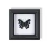 Marco de Fotos de Espécimen de Mariposa Pintura Decorativa de Madera Adorno Retro Europeo Soporte de Exhibición Muebles DIY Regalo de Cumpleaños Regalo