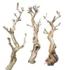 Terrario para reptiles paisajismo madera esquina de pestañas de serpiente caja de gecko lagarto trepador doble corona plataforma para tomar el sol patrón de dragón madera muerta
