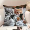 Funda de Almohada de Gato de Dibujos Animados Popular Temu Xiyin Transfronteriza Textil para el Hogar Cubierta Decorativa para Cojín de Sofá Venta al por Mayor Personalización