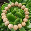 Pulseiras de Noz-Moscada e Bodhi Atacado, Contas de Oração Budistas, Pulseiras Masculinas e Femininas, Fornecedor Fabricante de Joias, Colecionáveis Naturais