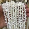 Pulsera de cuentas con forma de herradura de caracol marino natural, con agujeros horizontales, hecha a mano, joyería DIY