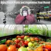 Atacado do Fabricante Filme para Estufa de Vegetais de PE Filme Plástico Transparente Agrícola Filme Multifuncional à Prova de Frio e Hidratante Filme Espessado