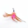 Brinquedo de Gato Quente Transfronteiriço Suprimentos para Animais de Estimação Fio de Aço de Mola Rosa Vara para Gato Cabeça de Reposição para Gato Venda por Atacado