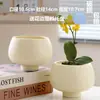 Vaso de Cerâmica Minimalista Nórdico, Design Grande de Luxo com Prato, Criativo e Único para Uso Doméstico, Adequado para Plantas Verdes e Orquídeas