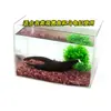 Piedra de paisaje para acuario, decoración especial para peces Luohan, piedra de sangre de pollo, arena roja, arena de fondo para pecera, arena de fondo rojo