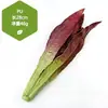 Venta al por mayor directa de fábrica de todo tipo de verduras de tacto de alta simulación PU verduras falsas PU simulación pepino col