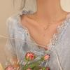 Colar de laço feminino 2021 Novo estilo leve de luxo nicho Design Sense Collarbone Chain Simples High-end Acessórios Colar