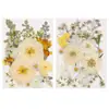 Flores secas, flores prensadas, flores prensadas DIY, espécimes de flores reais, folhas reais prensadas, marcadores de página de resina, materiais de espécimes de plantas de flores reais