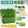 Olla para Germinar Brotes Herramienta Mágica para Brotes de Verduras Hidropónicas Caseras Bandeja para Plántulas de Siembra sin Suelo para Guisantes y Frijol Mungo