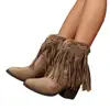 Botas de Inverno 2025 Novo Estilo Bico Fino Camurça Slip-On Detalhe de Franja, Tamanho Grande, Salto Bloco, Detalhe de Rebite, Botas de Cano Curto Salto Médio para Mulheres