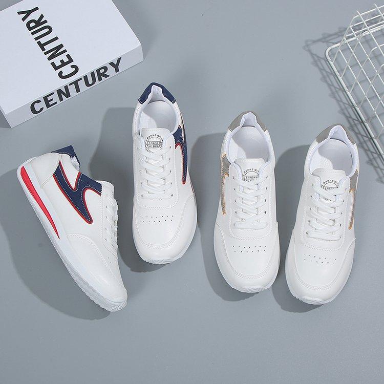 2024022121376696786233w800h800