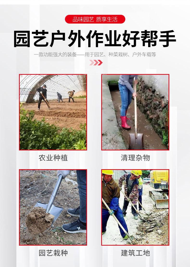 详情页_02.jpg
