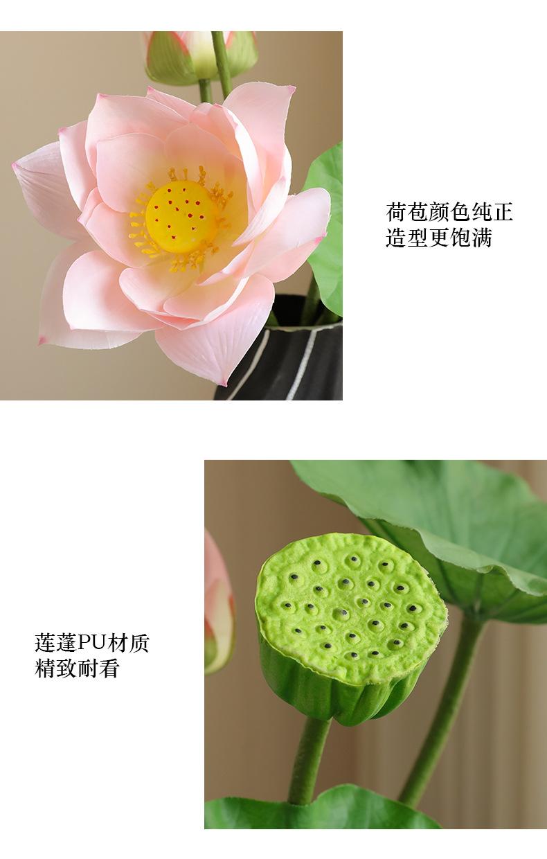初尘荷花系列_12.jpg