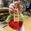Llavero Auténtico de Hoja de Toronja para Alejar la Mala Suerte, Encanto de Peluche para la Buena Suerte, Lindo Colgante para Bolsa
