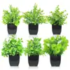 Flores Artificiais de Simulação Decorações Criativas para Mesa de Casa Flores de Plástico Grama Artificial Plantas Verdes Decorações de Interior Mini Decorações Bonsai